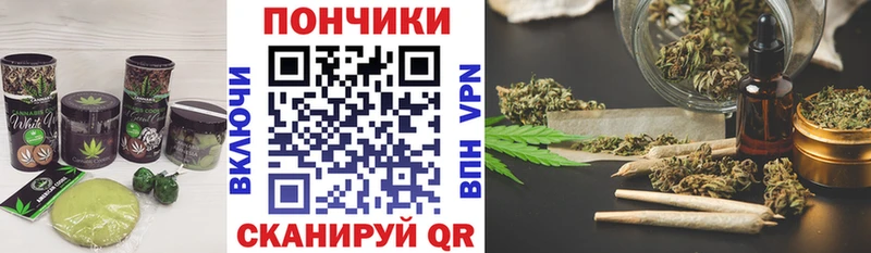 Canna-Cookies конопля  купить наркоту  Фёдоровский 