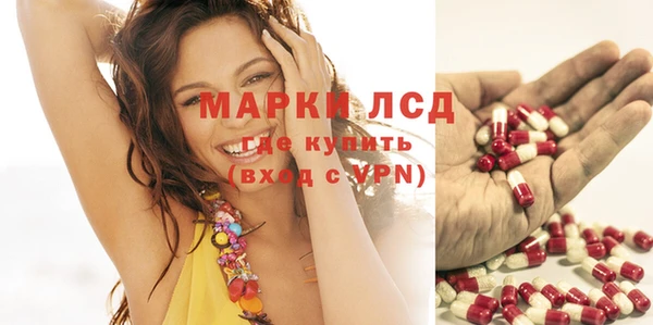 мяу мяу мука Новозыбков