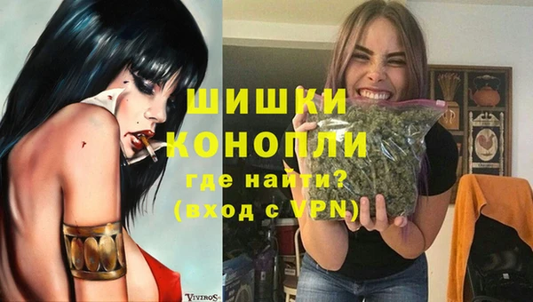 винт Богданович