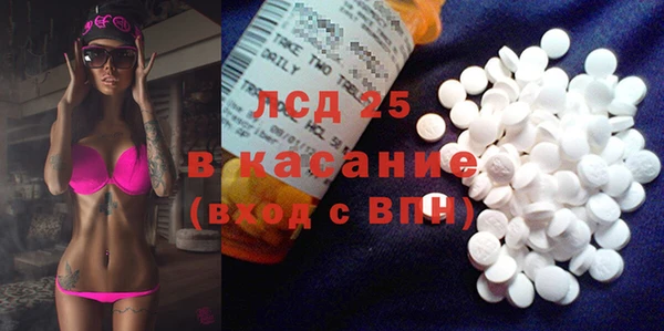 винт Богданович