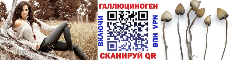 ссылка на мегу маркетплейс Фёдоровский сайты даркнета как зайти Псилоцибиновые грибы Magic Shrooms